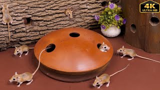 Download Lagu Cat TV Mouse Maze | Tiny Mice Pop Out Everywhere! | Cats Go Crazy | 4K UHD Video for Cats MP3