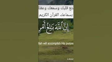 رسائل من القرآن الكريم..... تلاوات من القرآن