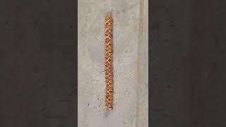 Gold Design Ring Making