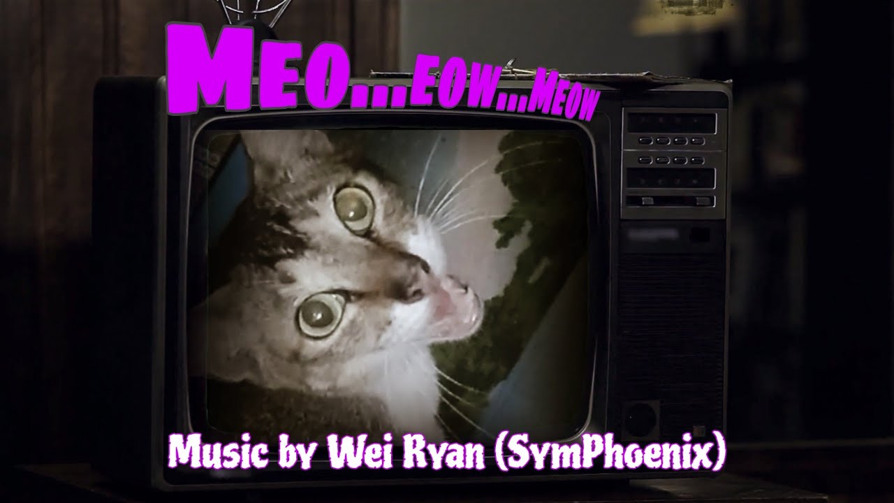 making-a-song-with-my-cat-s-voice-youtube