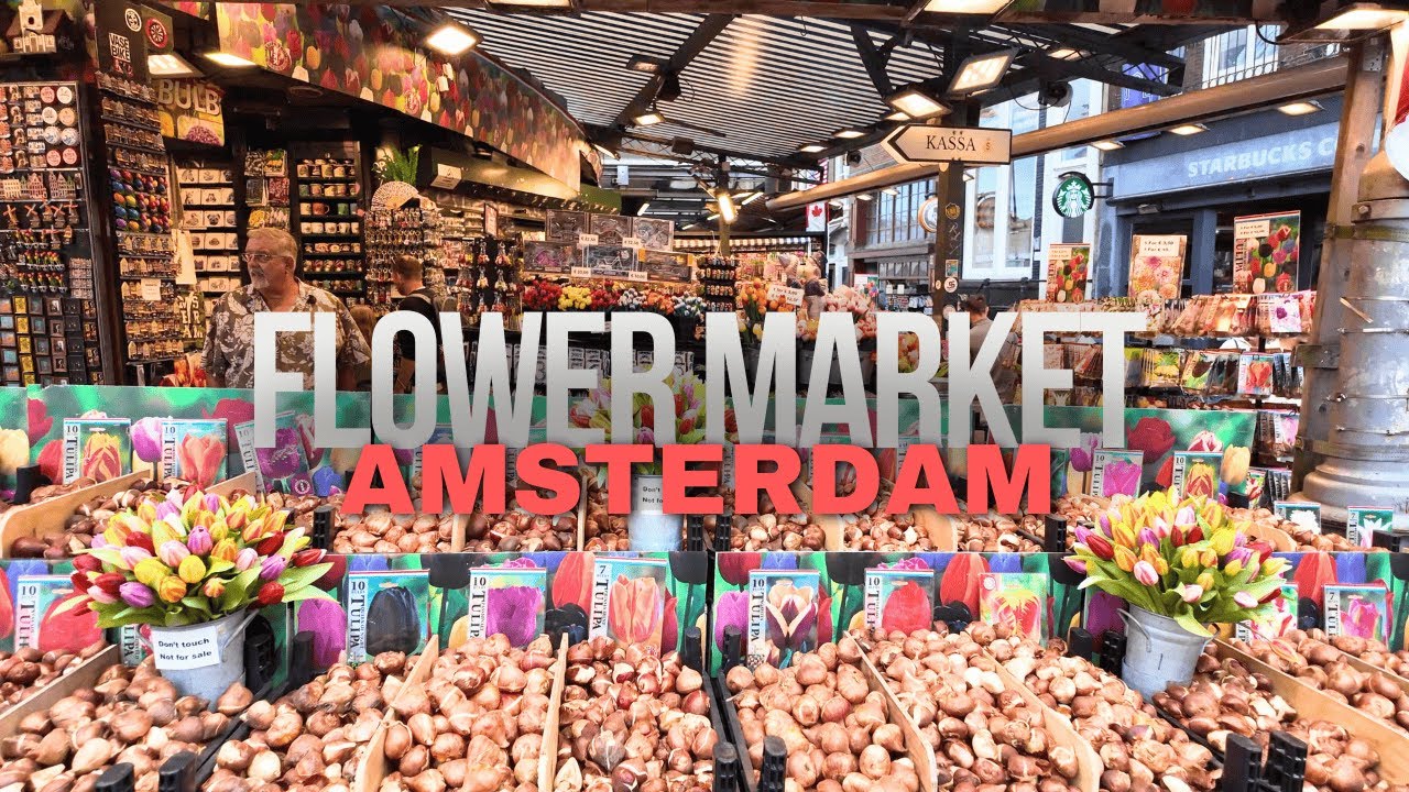 Прогулка по цветочному рынку Амстердама 🌷Тюльпаны, сувениры и местная атмосфера!