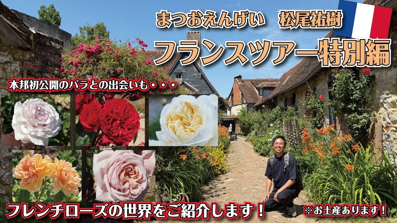 まだ誰も見た事のないバラに会いにフランスに行ってきました！