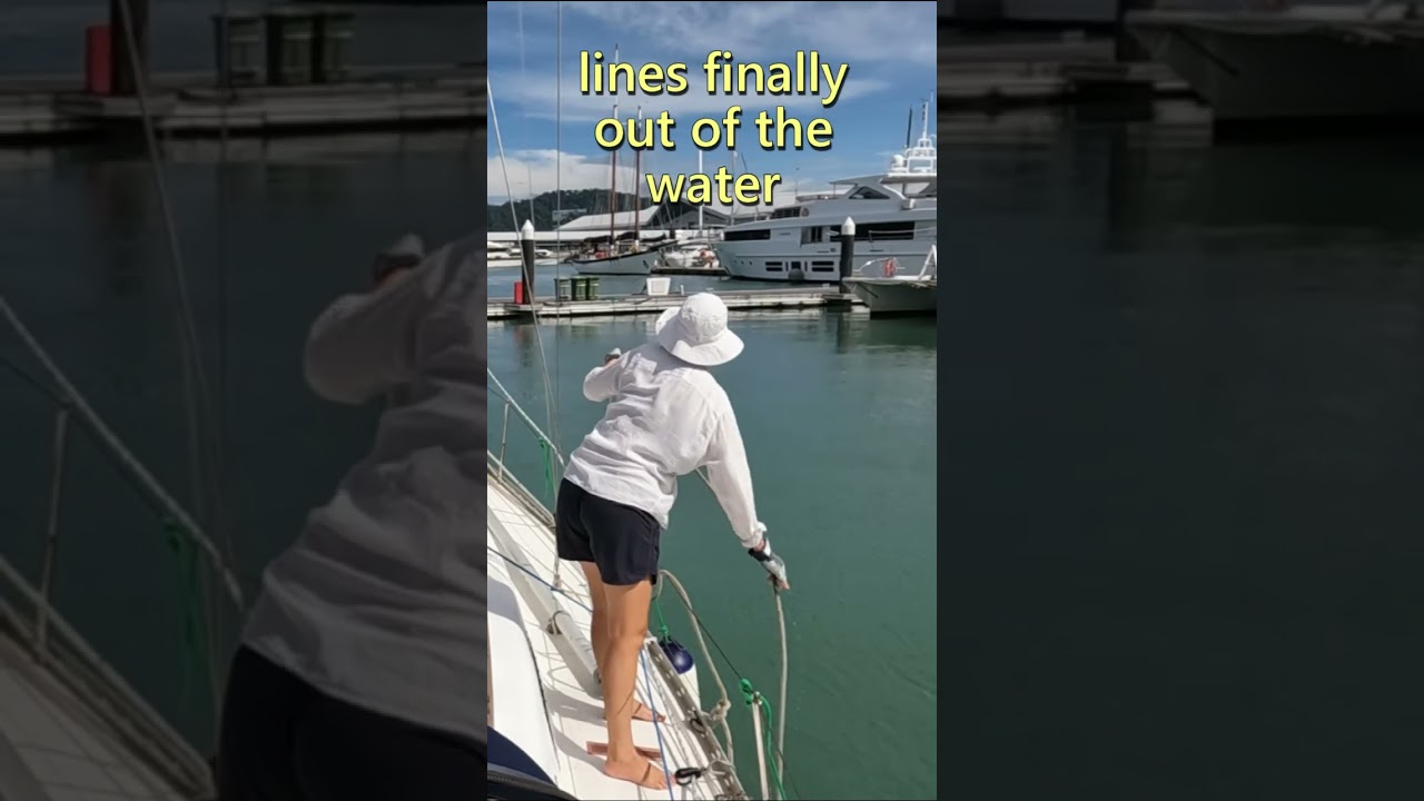 How NOT to leave the marina 😮 #shorts #travel #lovesailing