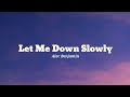 Alec Benjamin | Let Me Down Slowly (lyrics)