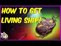 How to Use the Void Egg and Get a Living Ship | Starbirth Mission Guide | No Man's Sky 2020