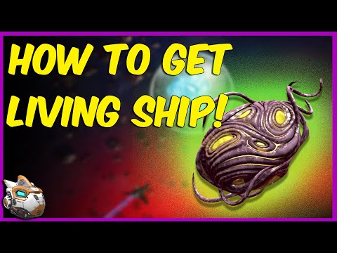 How to Use the Void Egg and Get a Living Ship | Starbirth Mission Guide | No Man's Sky 2020