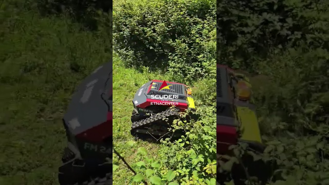 Trincia Bluebird FM24-70 su rovi e sterpaglie 👑.