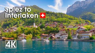 Spiez To Interlaken 🛥️ Switzerland 🇨🇭 Experience The Largest Lake In The Bernese Oberland By Boat
