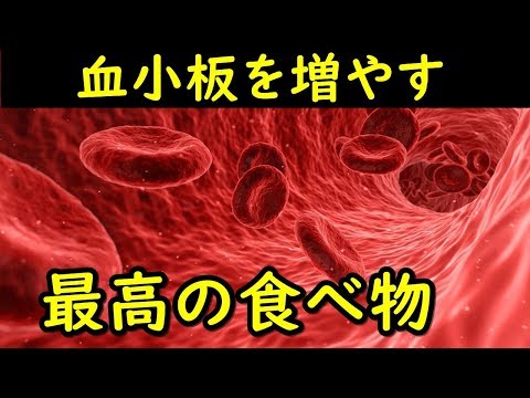 血小板を増やしてくれる効果のある食べ物！血小板の値を正常に保つ働きのある食べ物とは？【そうなのか動画】