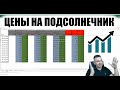 Сдавать или хранить. Когда продавать подсолнечник выгодней всего. Цены на подсолнечник за год