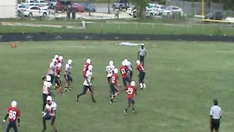 #25 RB/DB Jermaine Washington Spring 2010 Highligh...