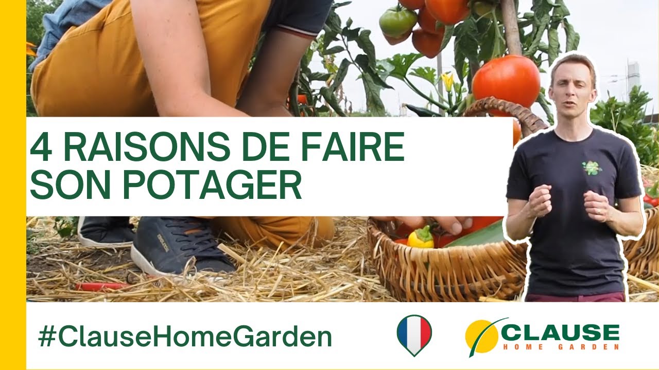 9 bonnes raisons de faire son propre potager