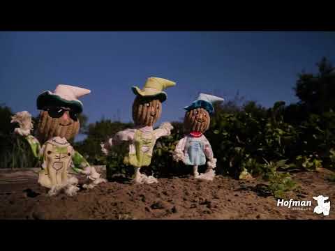 Garden Paws Speels plezier met een knipoog naar de tuinOnze nieuwste lijn hondenspeeltjes met een vrolijk tuin-thema. Van een grappige vogelverschrikker tot een ondeugen...