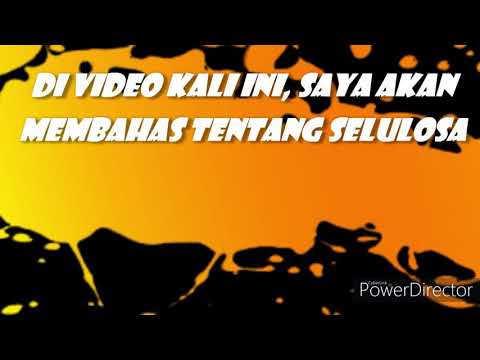 Video: Apakah maksud bukan selulosa?