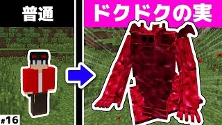 【マインクラフト】ドクドクの実、真の力がヤバすぎる...ワンピースクラフト#16【マイクラMOD実況】【ワンピース(悪魔の実),まな板MOD】