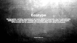 Medical Vocabulary What Does Ecotype Mean