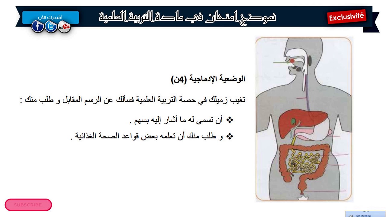 نموذج امتحان الفصل الأول في مادة التربية العلمية مع الحل/ السنة الرابعة ابتدائي 2018/2019