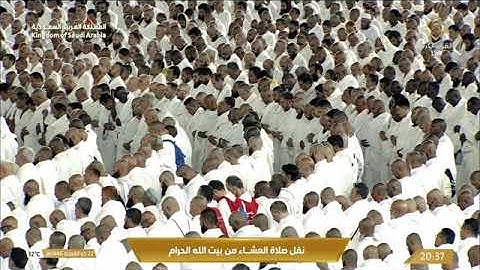 تلاوة مُطمئنة من سورة الحجرات 6-13 لفضيلة الشيخ د. #ماهر_المعيقلي عشاء الثلاثاء 22 ذو القعدة 1446هـ