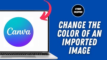 How To Change The Color of an Imported Image or Logo in Canva (Simple)