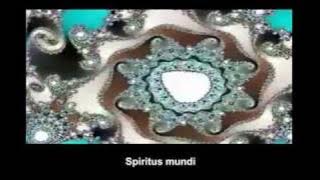 The Police - Synchronicity 1   lyrics