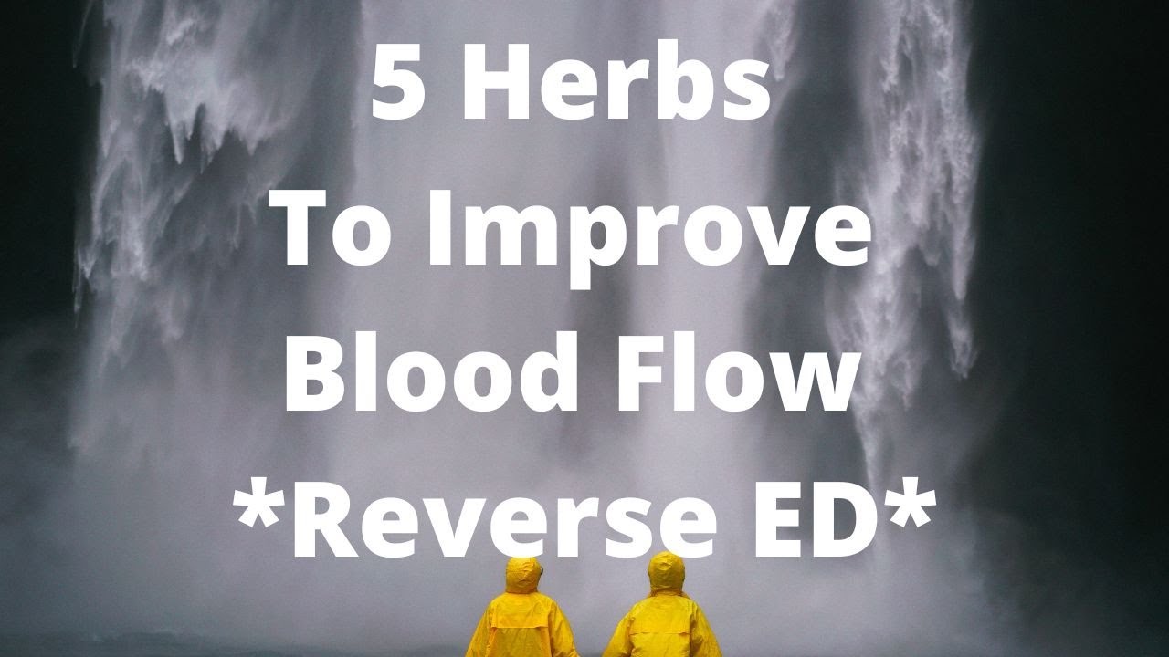 5 Herbs To Improve Blood Flow Reverse ED YouTube 5 Herbs To Improve Blood Flow Reverse ED YouTube