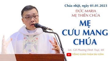 Mẹ cưu mang Chúa - Lm. GB Phương Đình Toại, MI | Thánh Maria, Mẹ Thiên Chúa