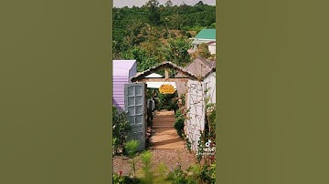 Home of Bông & Gạo - 65 Nguyễn An Ninh , Bảo Lộc