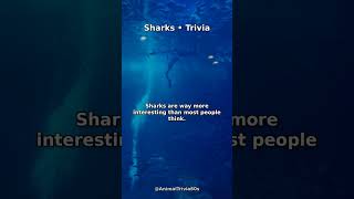 3 Wild Facts About Sharks