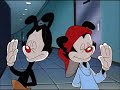 Hellooo nurse   yakko  wakko kisses compilation  animaniacs