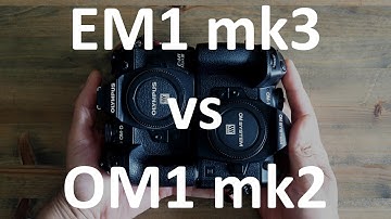 Olympus EM1 mark3 vs OM System OM1 mark2