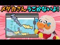 どうして？メダカさんが全然動かないよ！みんなは「冬眠」って知ってる？🐥