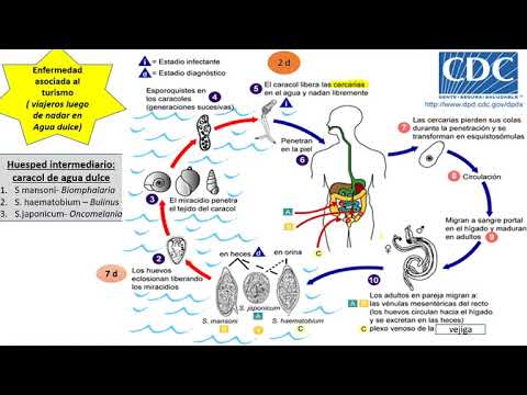 Video: ¿Cómo se trata la esquistosomiasis de forma natural?