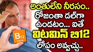 విటమిన్ B12 లోపం శరీరానికి శాపమా? I Vitamin B12 Deficiency Telugu I Health Tips I Everything Telugu