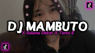 DJ MAMBUTO X SULAMA DEKAT X TANTAE MENGKANE STYLE VIRAL TIKTOK TERBARU