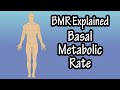 What is bmr basal metabolic rate  formula for and how to calculate bmr  bmr vs rmr explained