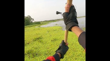 câu cá lóc u minh thượng, mồi vr N11.4 #caucaloc #vinhrom #fishing