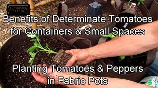 Flower Box & Container Gardening E-3: Planting  (Determinate) Tomatoes & Peppers, Container Sizes