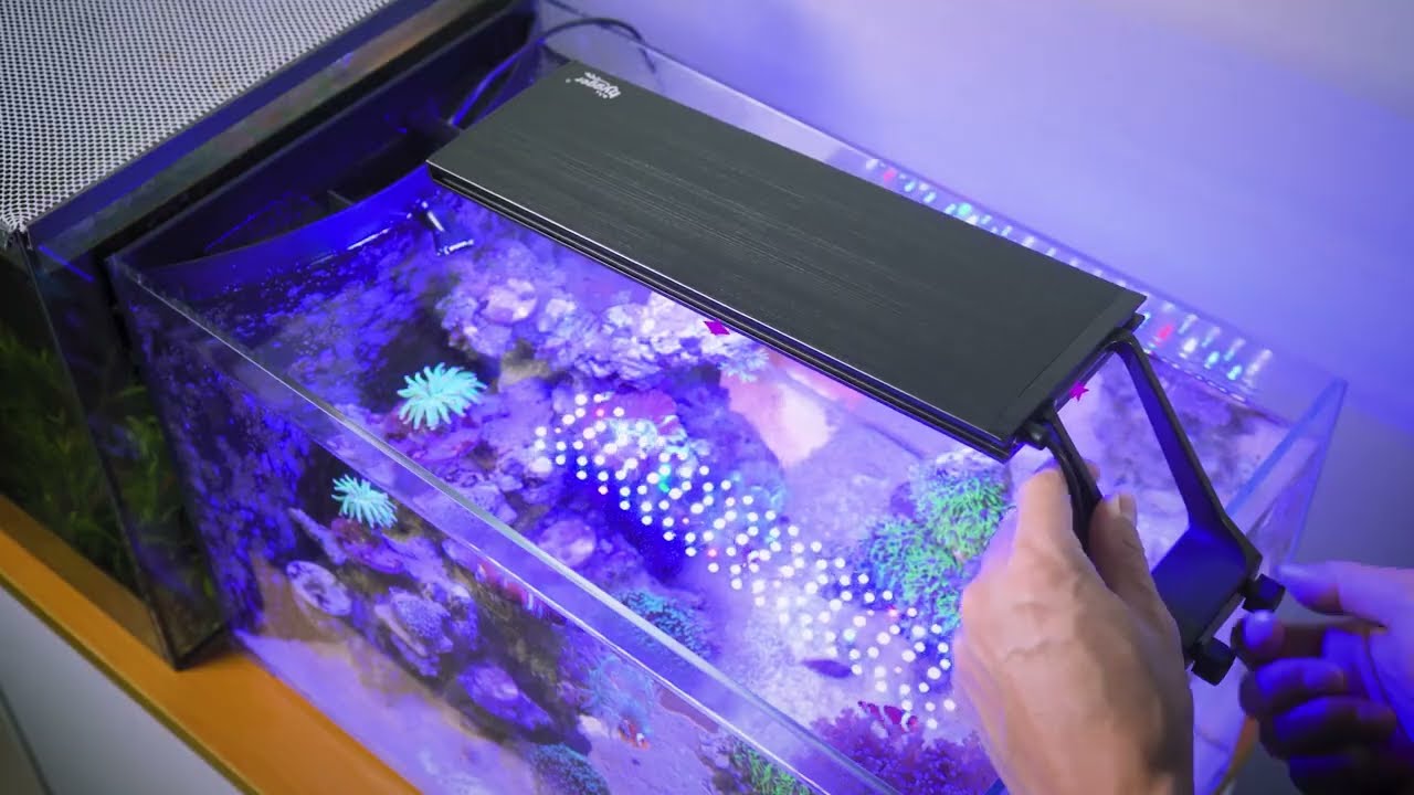 hygger Clip On 24/7 Saltwater Aquarium LED Light