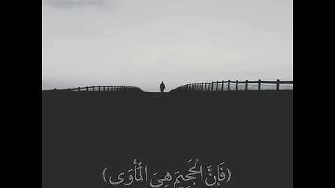 القارئ اسلام صبحي | ماشاء الله صوت رائع