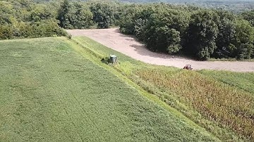 Food Plot Architecture and Stand Hanging - The Management Advantage