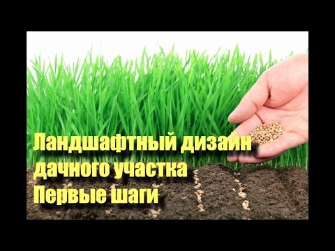 Ландшафтный дизайн дачного участка. Первые шаги. Часть 1