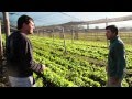 Video de resultados finales del Proyecto Cambio Hortícola