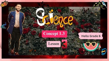 SCIENCE l Grade 6 l - Concept 1.3 - lesson 3