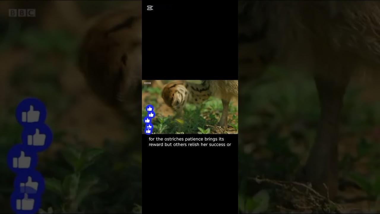 1 million views movie world please like and subscribe #wildanimals #wildlife #shortvideo #viral