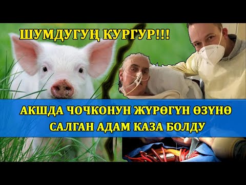 Video: Okonkwo канча бала?