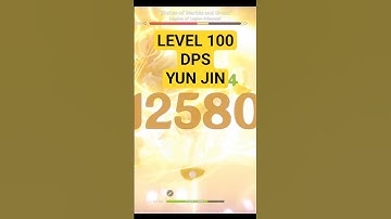 Level 100 DPS Yun Jin