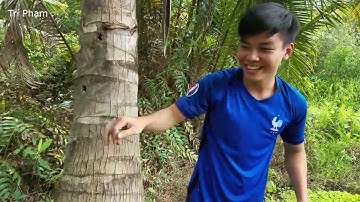 CÂU CÁ VỒ KHỦNG LÀM MÓN CÁ VỒ TẢ PÍ LÙ