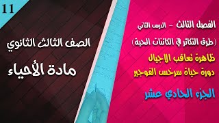 الفصل الثالث (جزء ١١) - ظاهرة تعاقب الاجيال - دورة حياة سرخس الفوجير