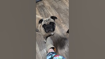 Editing Services! #bookeditor #bookediting #letsworktogether #indieauthor #selfpublishedbooks