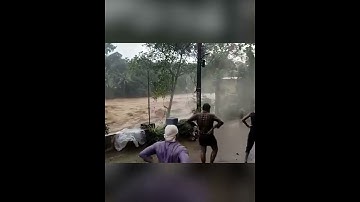Kerala Floods: House Washed Away in Overflowing River Amid Heavy Rainfall In Kottayam | #Shorts